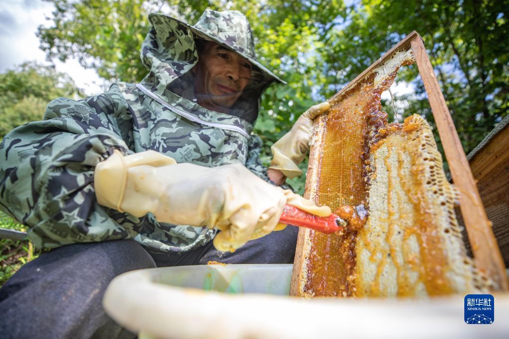 一毛钱底分扎金花